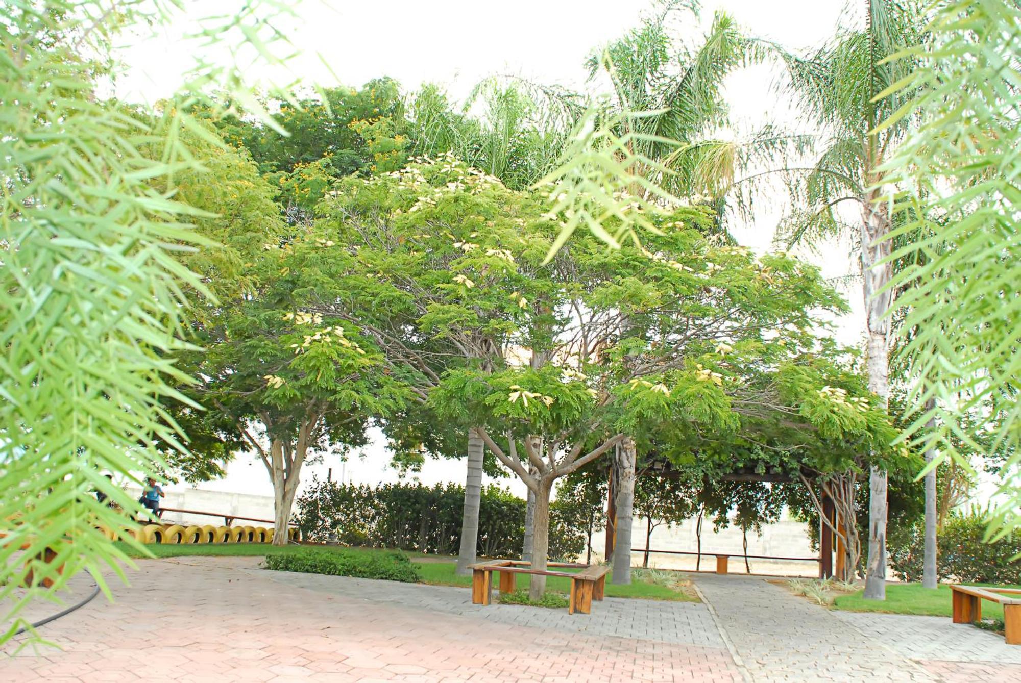 Hotel Flor Da Chapada Itaberaba ภายนอก รูปภาพ